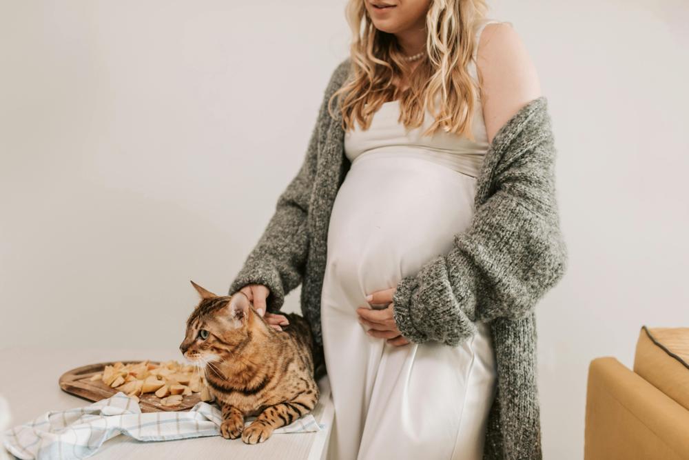 pregnant family-6276d3c9bdd8449f8f2e752e3061ac99.jpg pregnant family